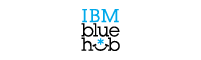 IBM blue hub