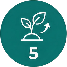 STEP5