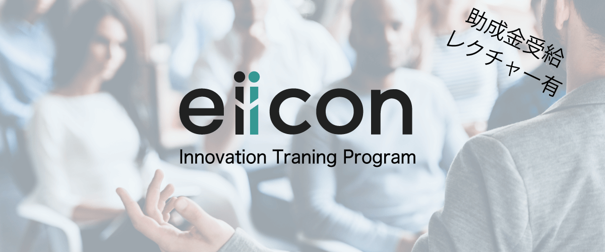 eiicon innovation traning program